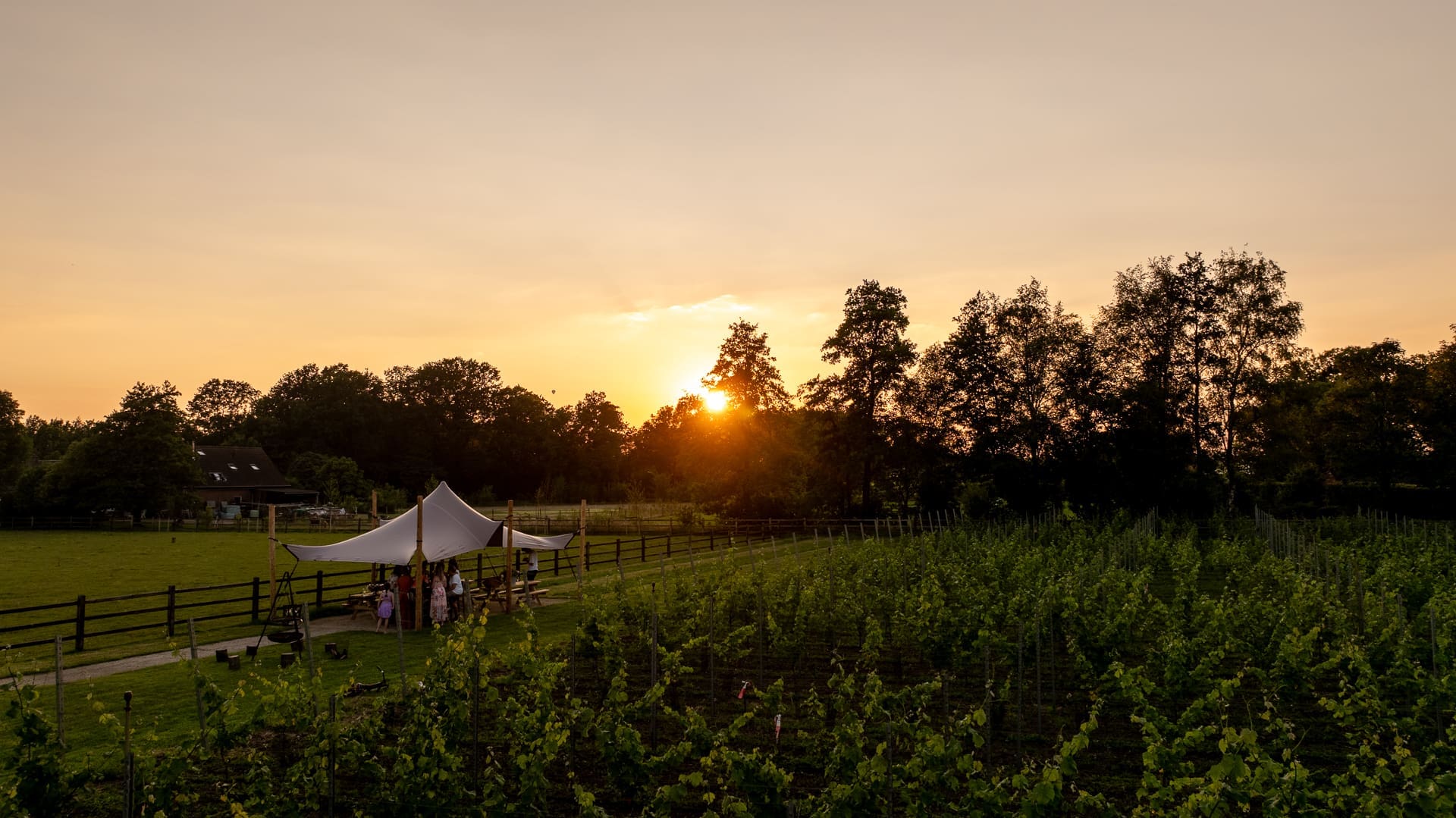 Seizoensafsluiting in stijl bij Wijnboerderij Welgelegen